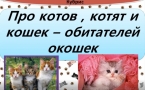 «Про котов, котят и кошек – обитателей окошек»
